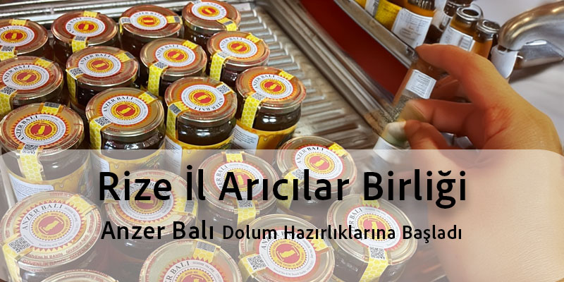 Rize'nin İncileri: Kestane Balı ve Anzer Balı