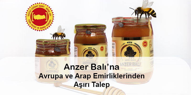 Anzer Yaylası: Apiterapi ve Doğa Turizmi